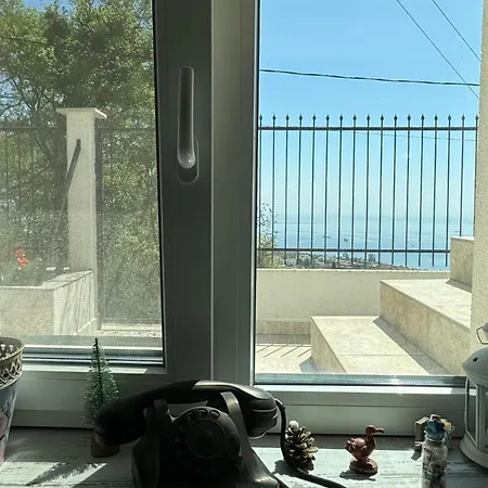 вилекула 3* Warna