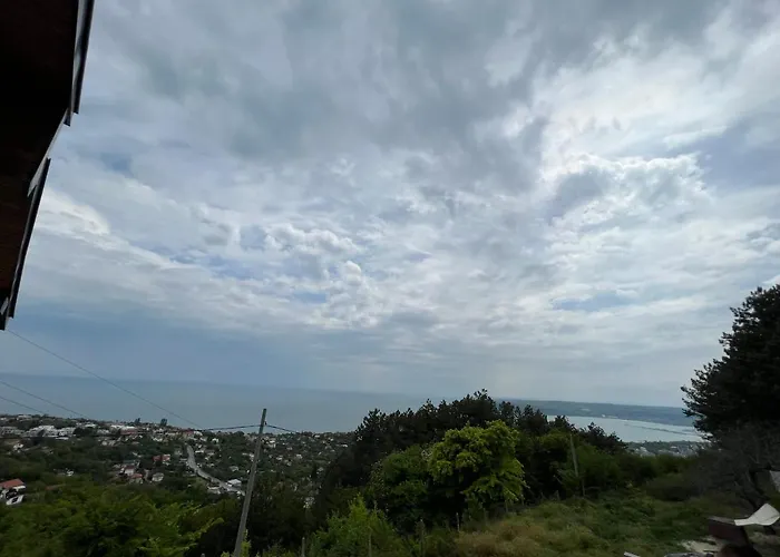 вилекула Varna